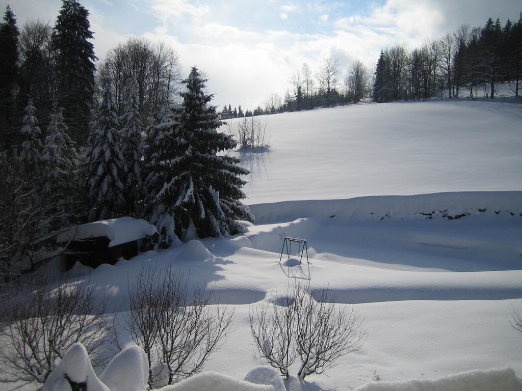 Chalet Lomy Villa Nové Město nad Metují Rom bilde